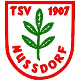 muenchingen_tsv